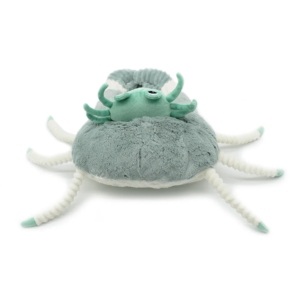 Cassecou Crabe Maman-bébé / Menthe – Image 4