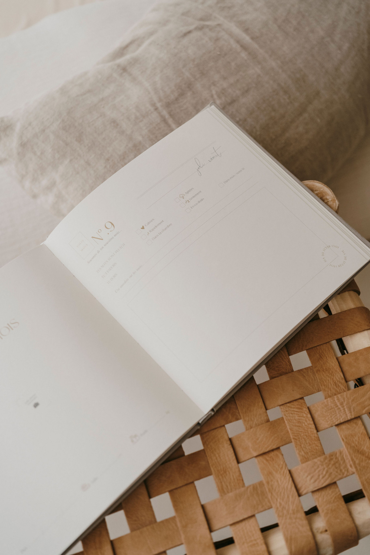 Livre de naissance Petit amour | Sauge – Image 2