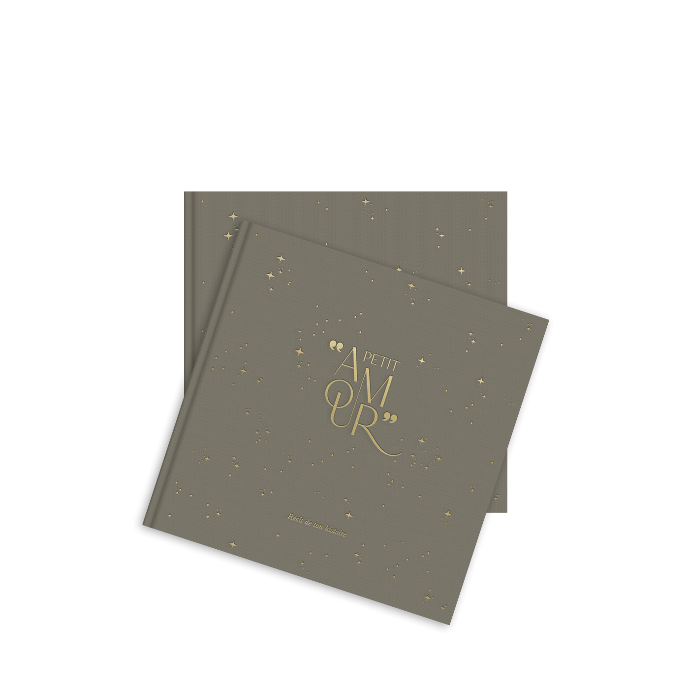 Livre de naissance Petit amour | Sauge